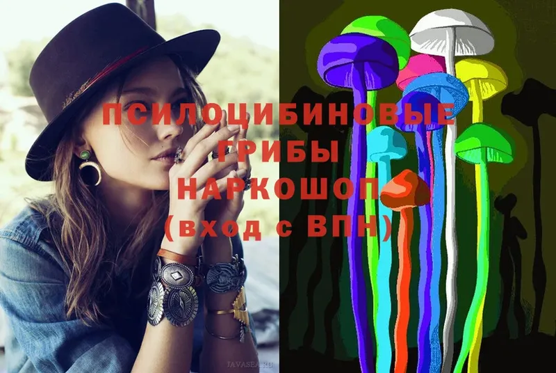 Галлюциногенные грибы Psilocybe  Безенчук 